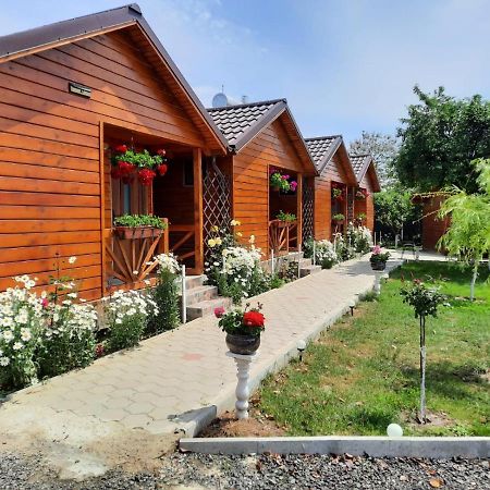 Cabanele Deltei Dunavatu de Jos Ngoại thất bức ảnh