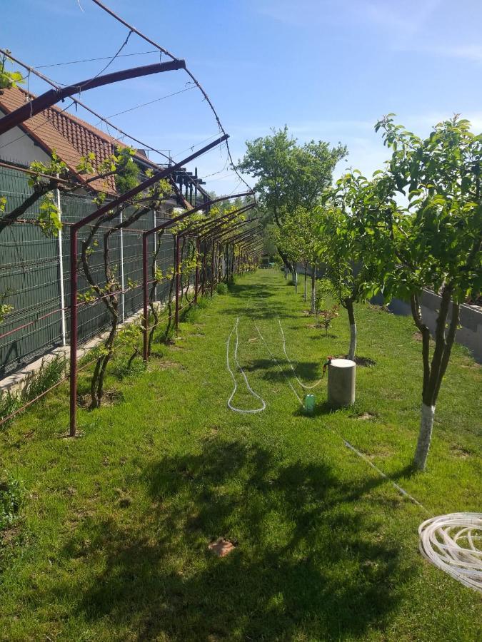 Cabanele Deltei Dunavatu de Jos Ngoại thất bức ảnh